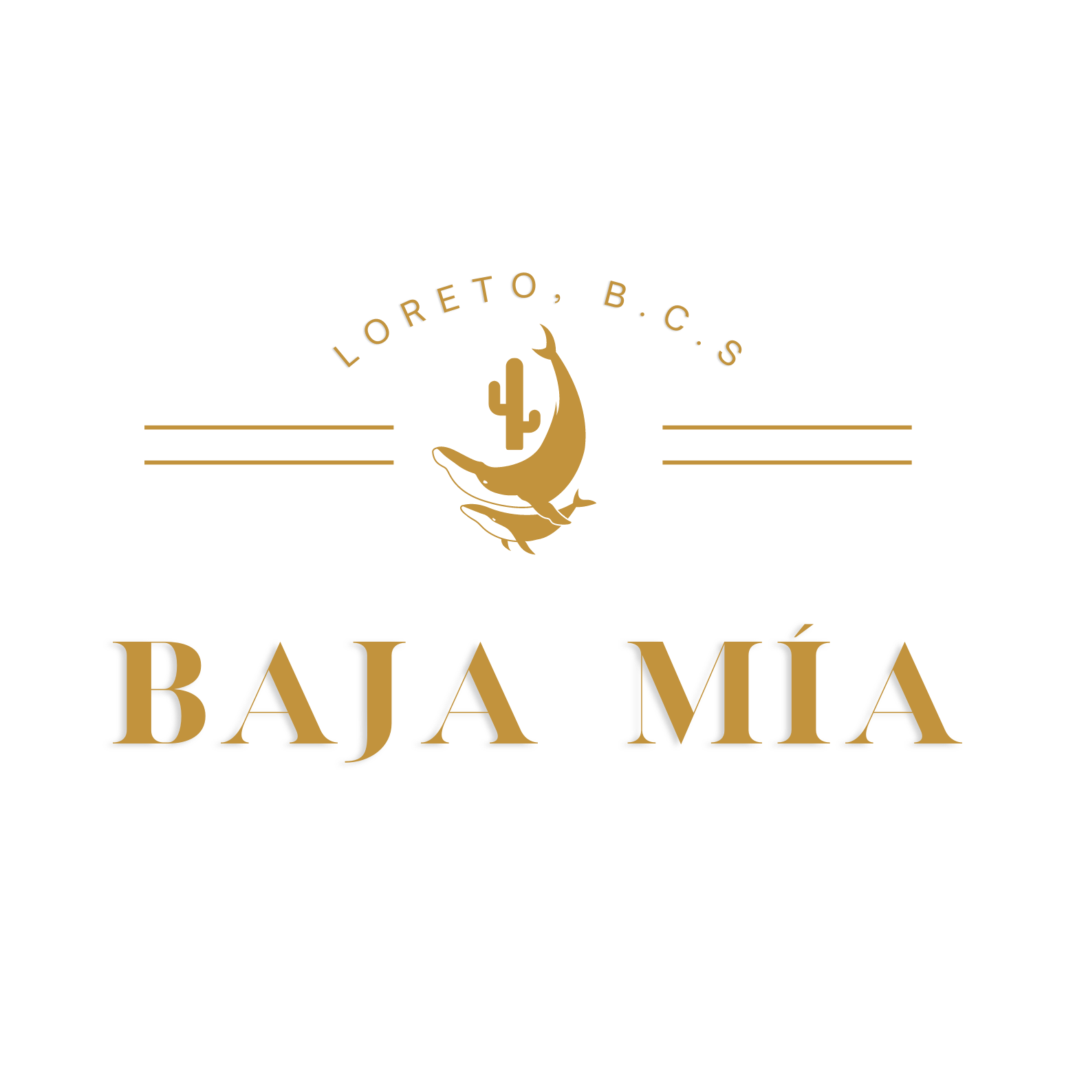 BAJA MIA